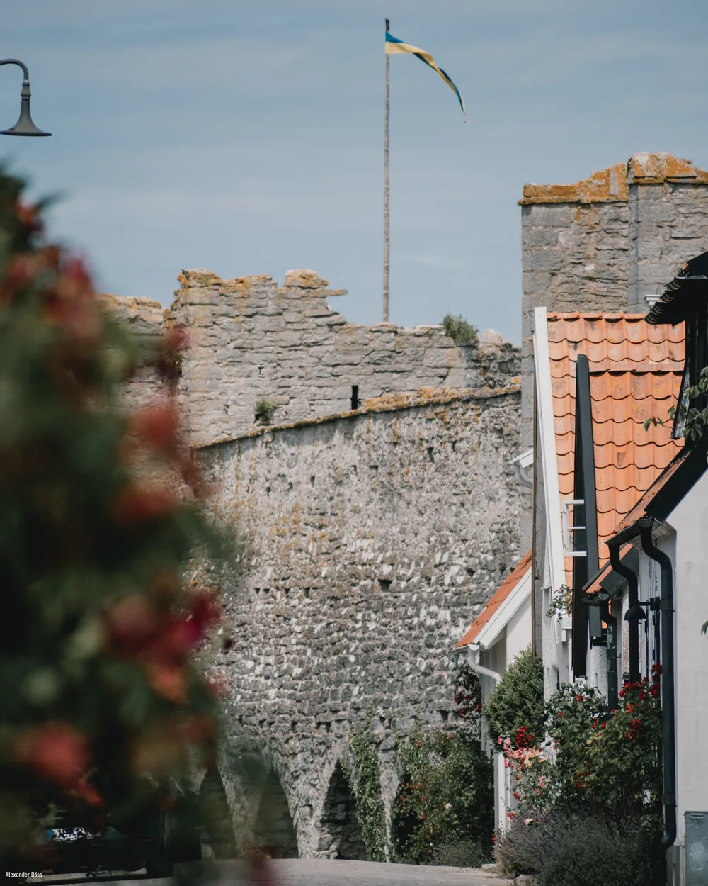 Visby ringmur ovanför en gränd med röda tegeltak