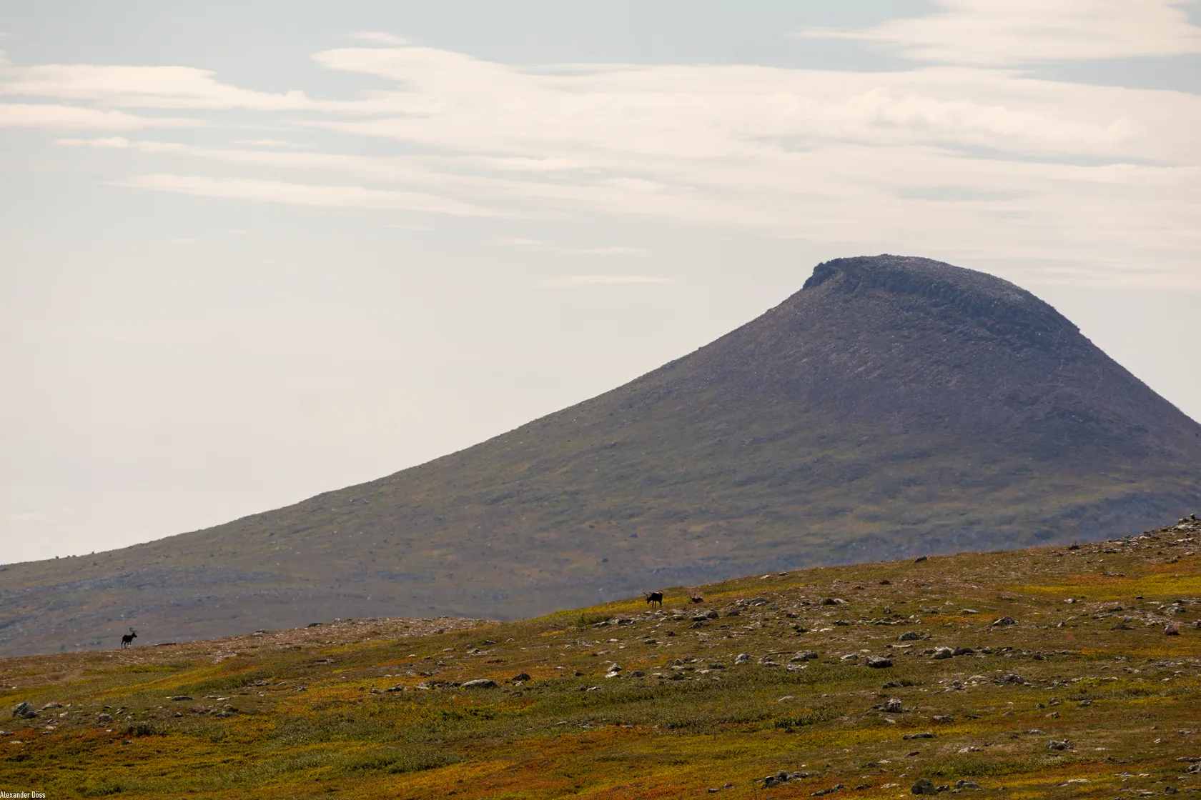 The distinctive summit of Städjan in autumn colours